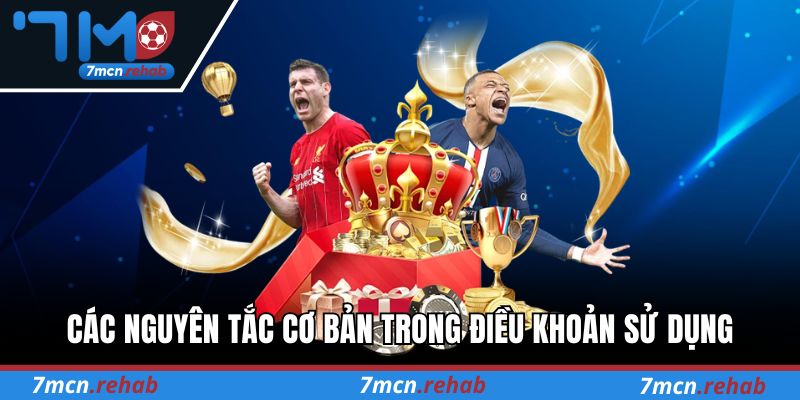 Các nguyên tắc cơ bản trong điều khoản sử dụng tại 7M