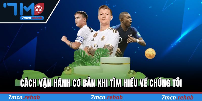 Cách vận hành cơ bản khi tìm hiểu về chúng tôi 7M