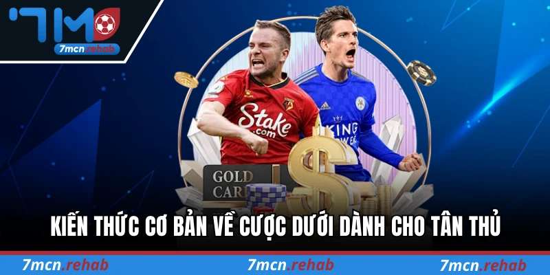 Kiến thức cơ bản về cược dưới dành cho tân thủ