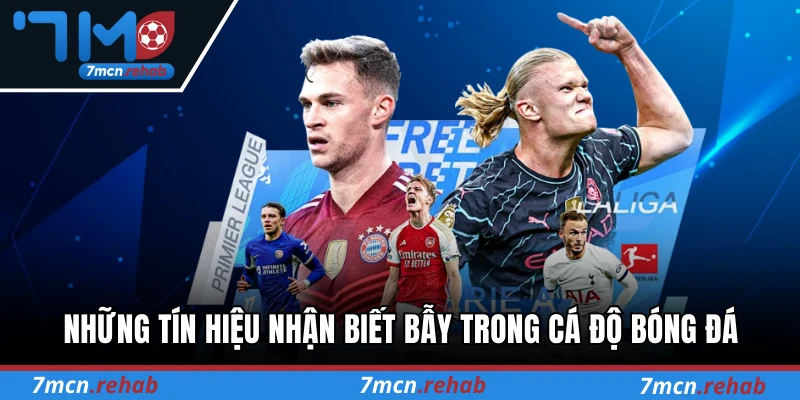 Những tín hiệu nhận biết bẫy trong cá độ bóng đá