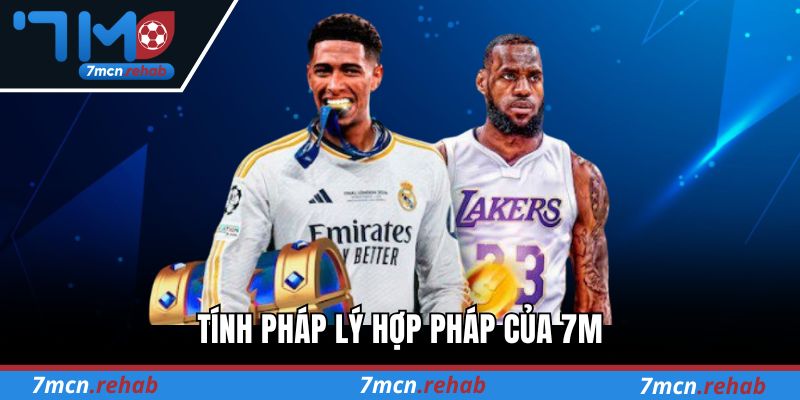 Tính pháp lý hợp pháp của 7M